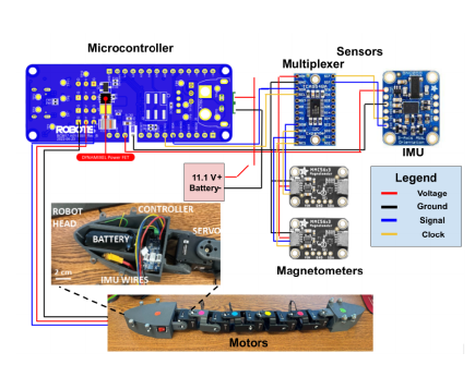 Electronics, sensors, and articulated body of a snake-like burrowing robot